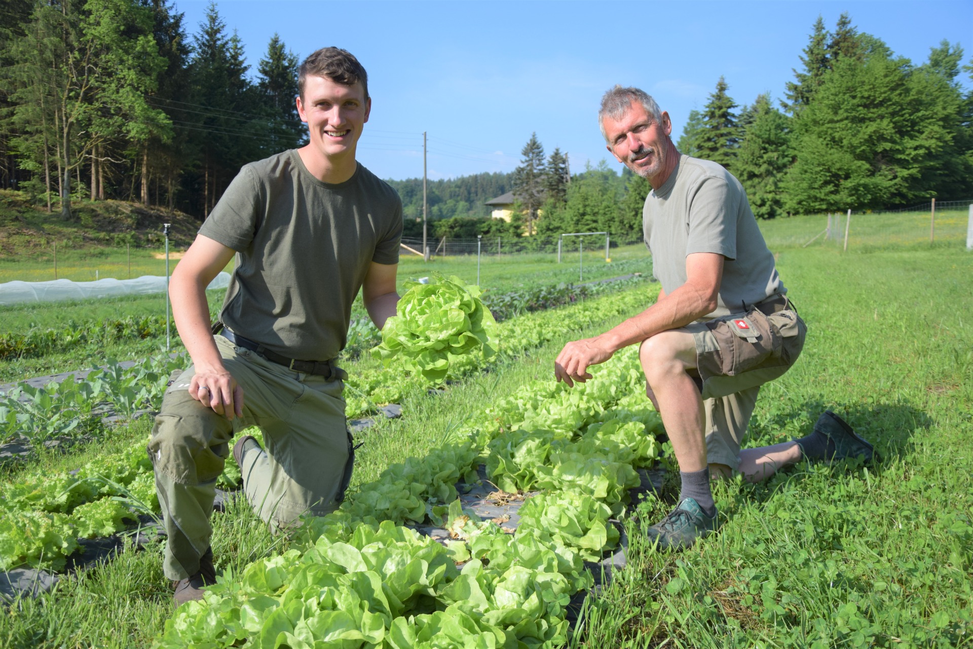 Christoph (li.) und Kurt (re.) Thaler beim Salat ernten